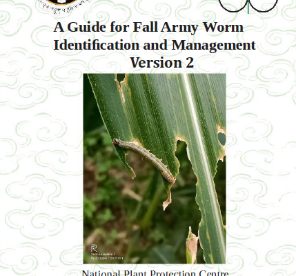 Version 2: A guide for fall armyworm identification and management